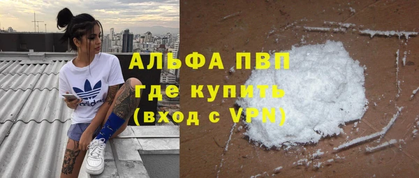 Альфа ПВП Верея