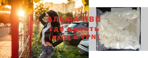 Альфа ПВП Верея